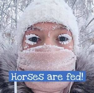 Meet your Posher, Penny